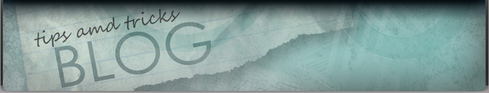 Phishing and How to Avoid Being Scammed